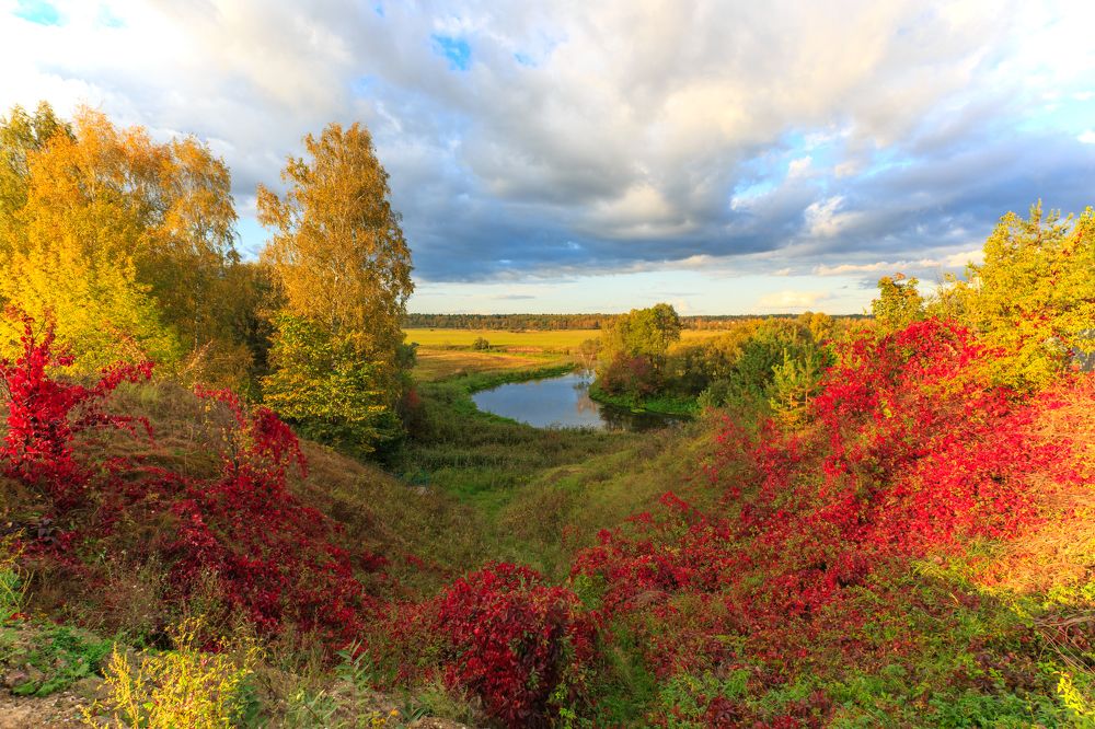 Photograph by Александр Литвинов