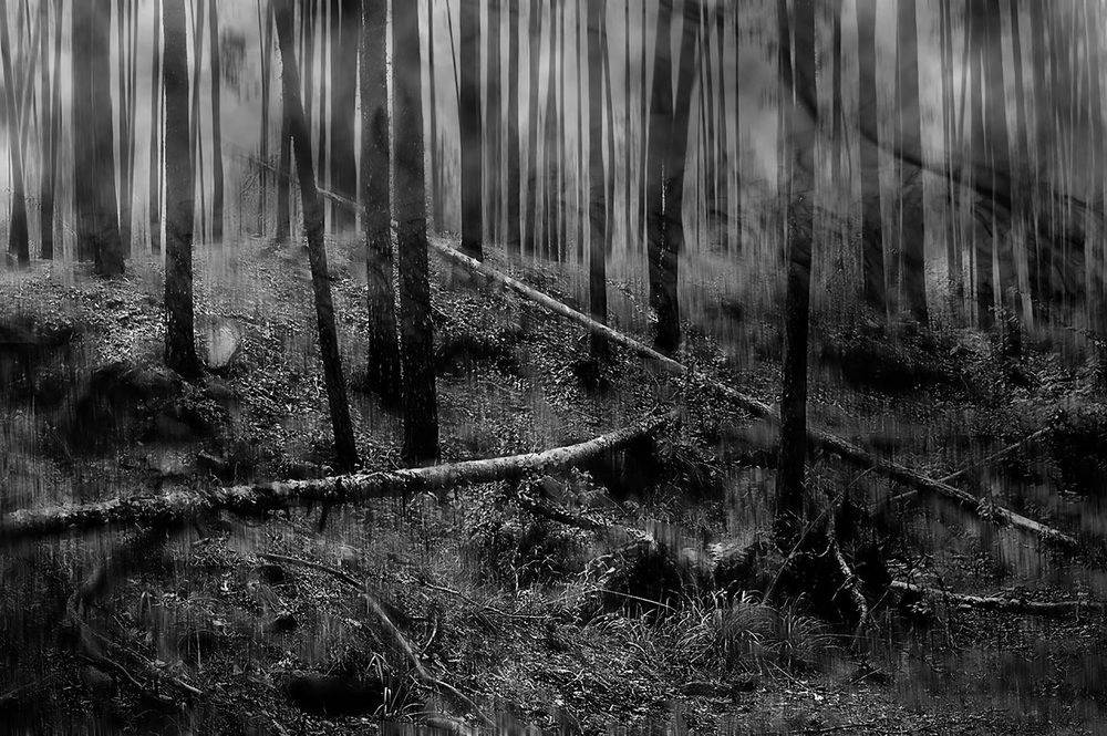 Photograph by Ирина Александрович