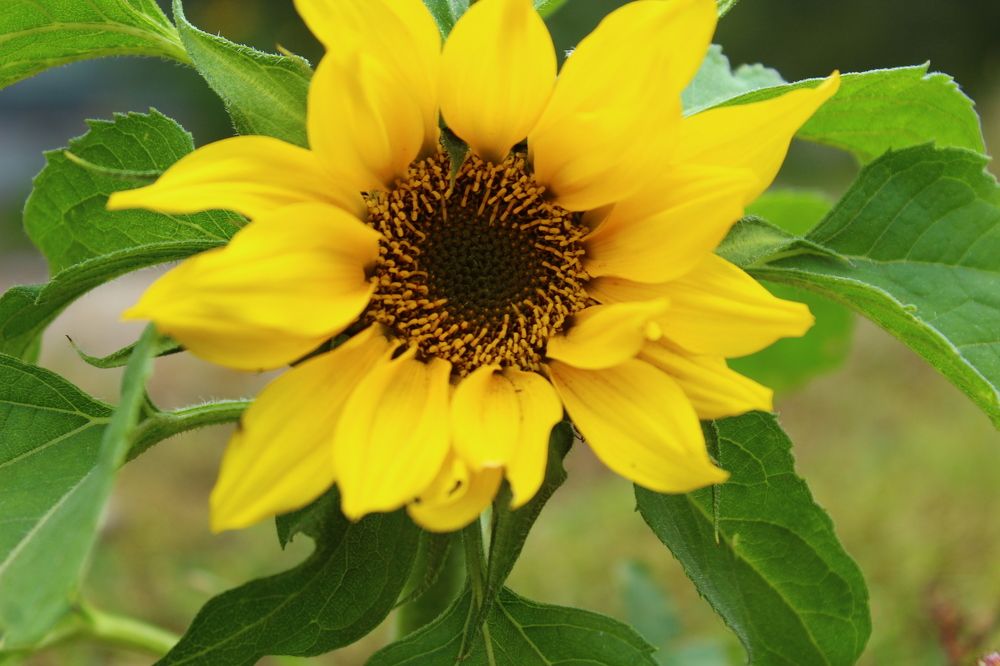 Photograph by Иван Крылов