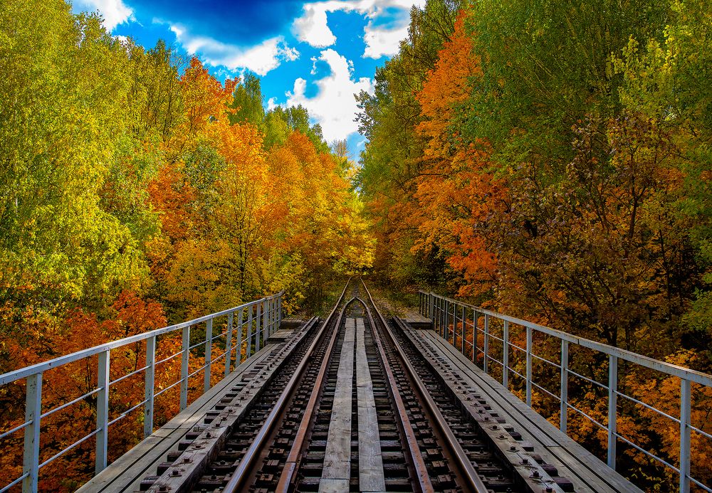 Photograph by Дзюба Нелли