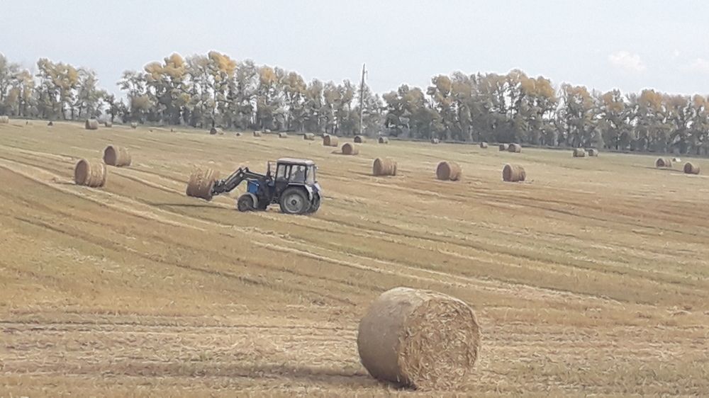 Photograph by Елена Алешкевич