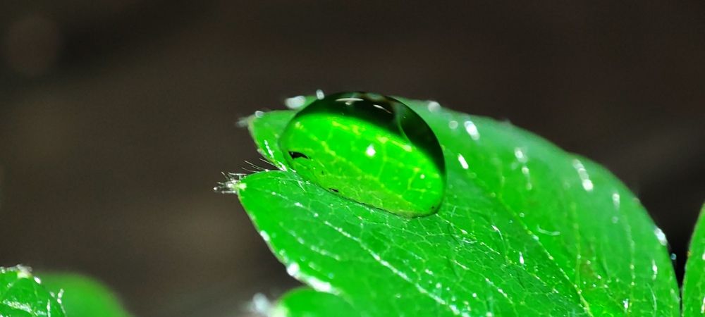 Photograph by Евгений Захаров