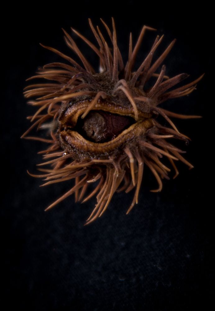 Photograph by Людмила Желтова