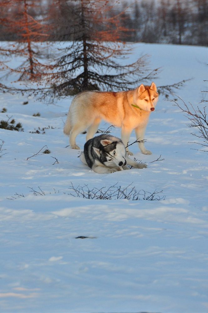 Photograph by Евгений Захаров