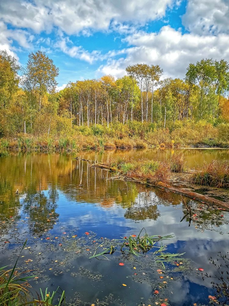 Photograph by Владимир Крылов