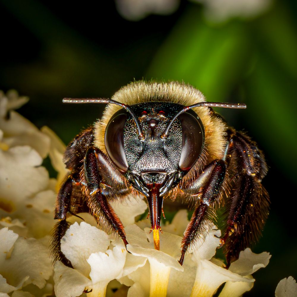 Photograph by Derek Moorse