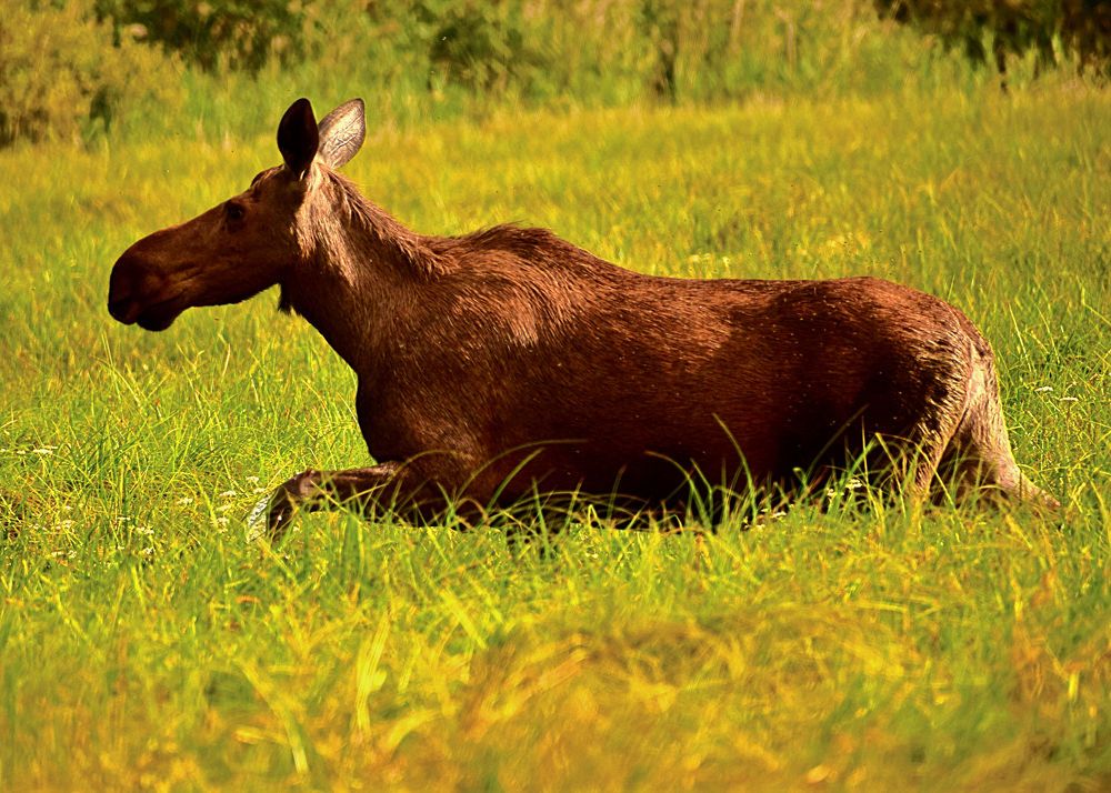 Photograph by Александр Шувалов
