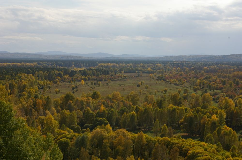 Photograph by Елена Алешкевич