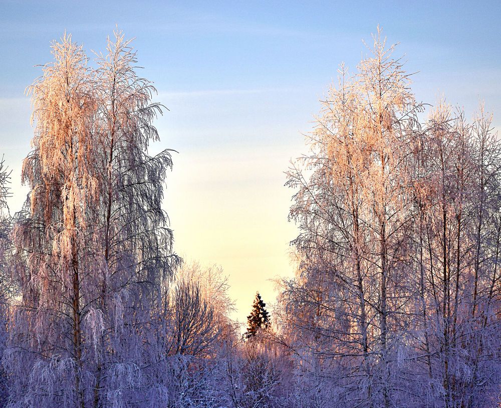 Photograph by Александр Шувалов