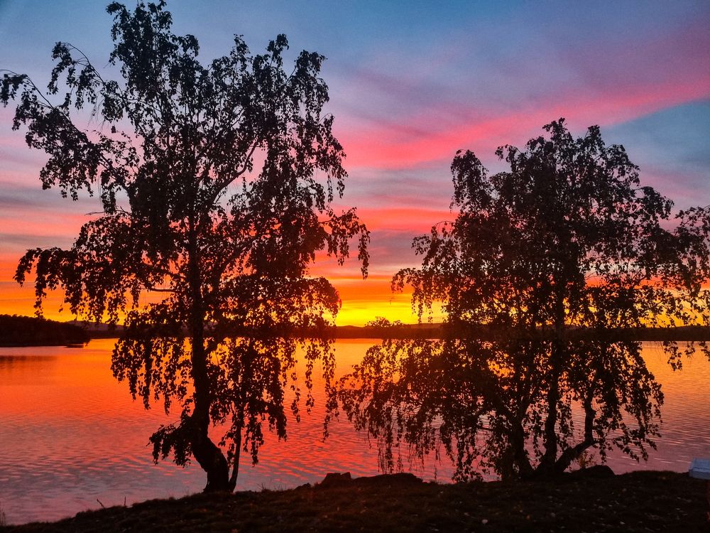 Photograph by Елена Ромашкина