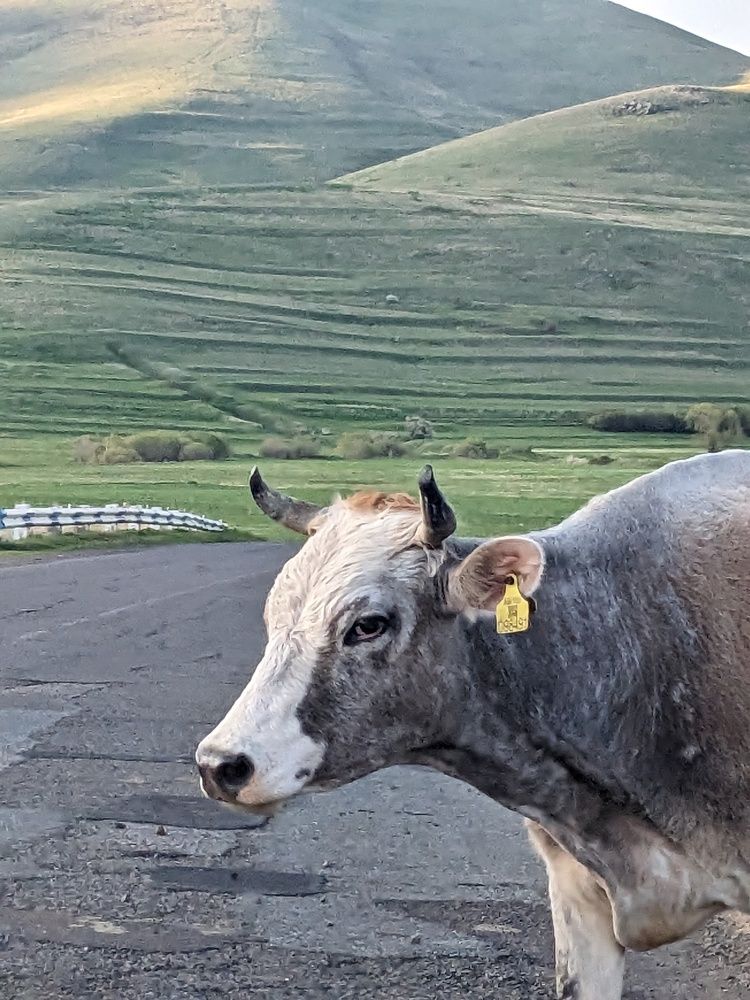 Photograph by Lilit Petrosyan