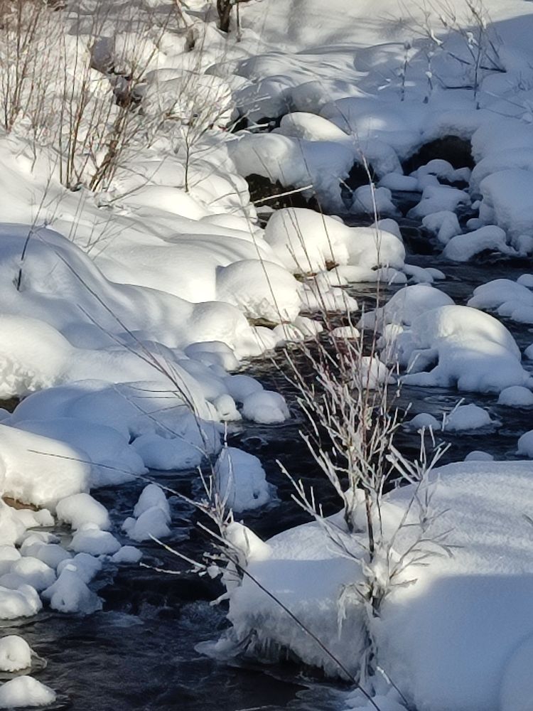 Photograph by Наталья Глек