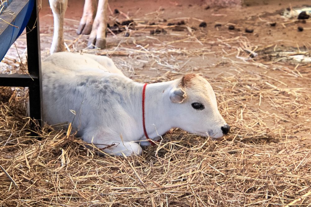 Фотография автора Juan Carlos Castillo