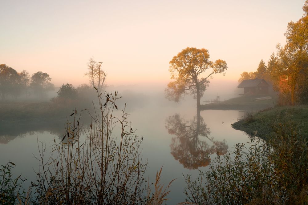 Photograph by Татьяна Черёмухина