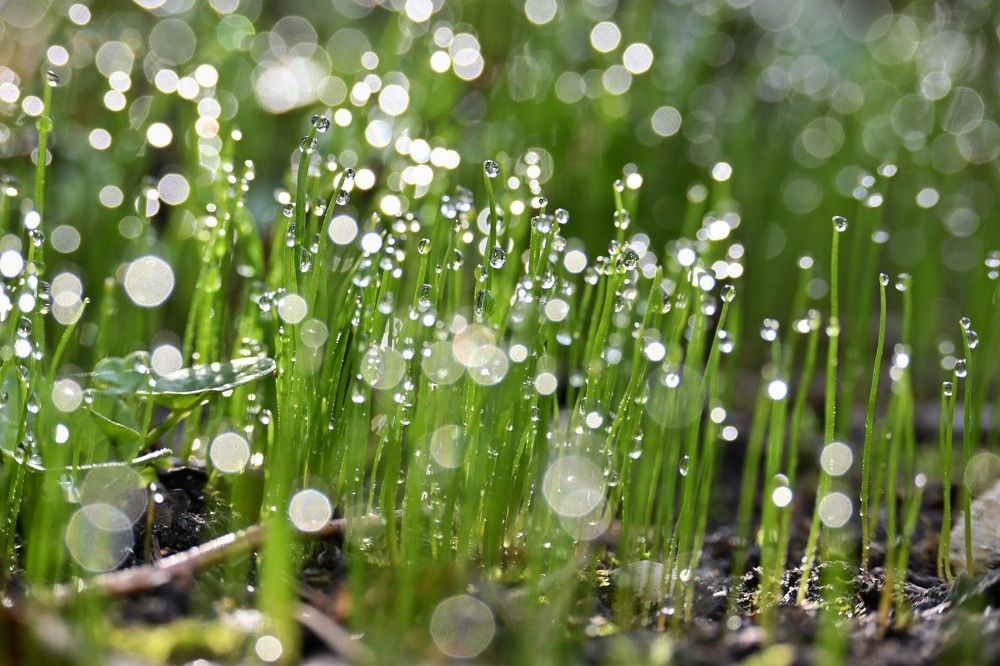 Фотография автора IRINA FILIPPOVA