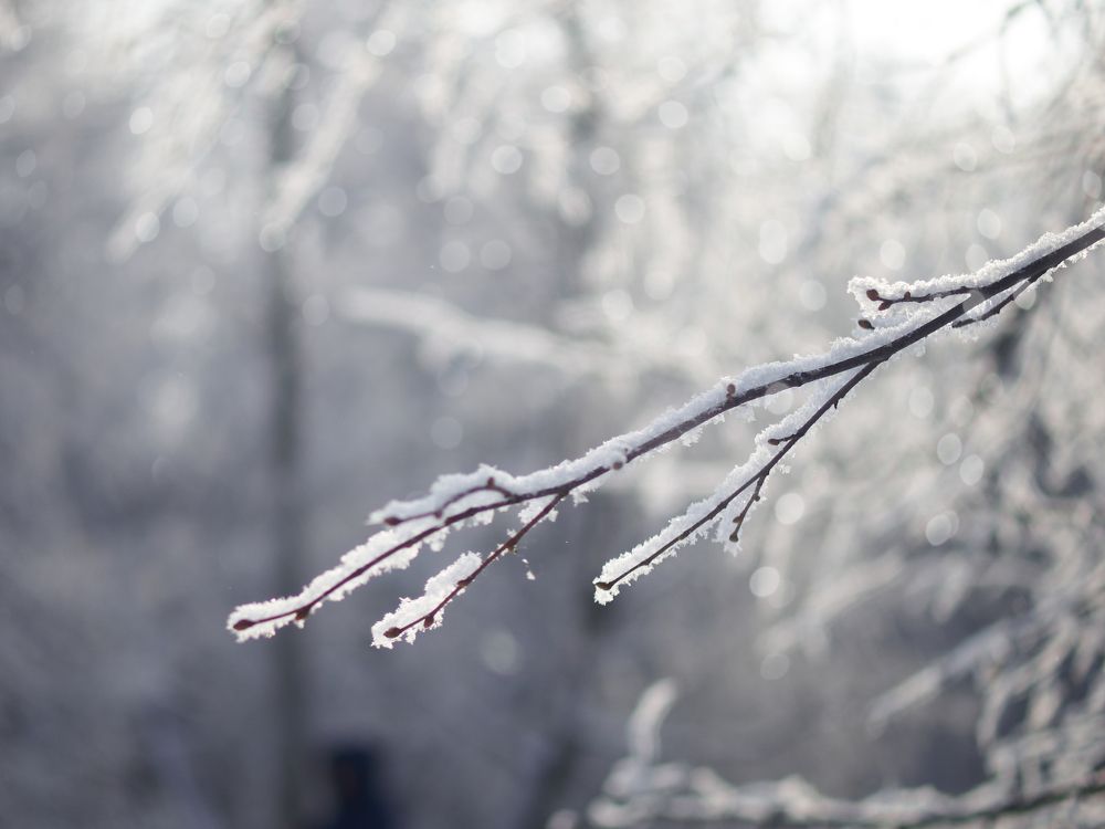 Photograph by Ирина Аверьянова