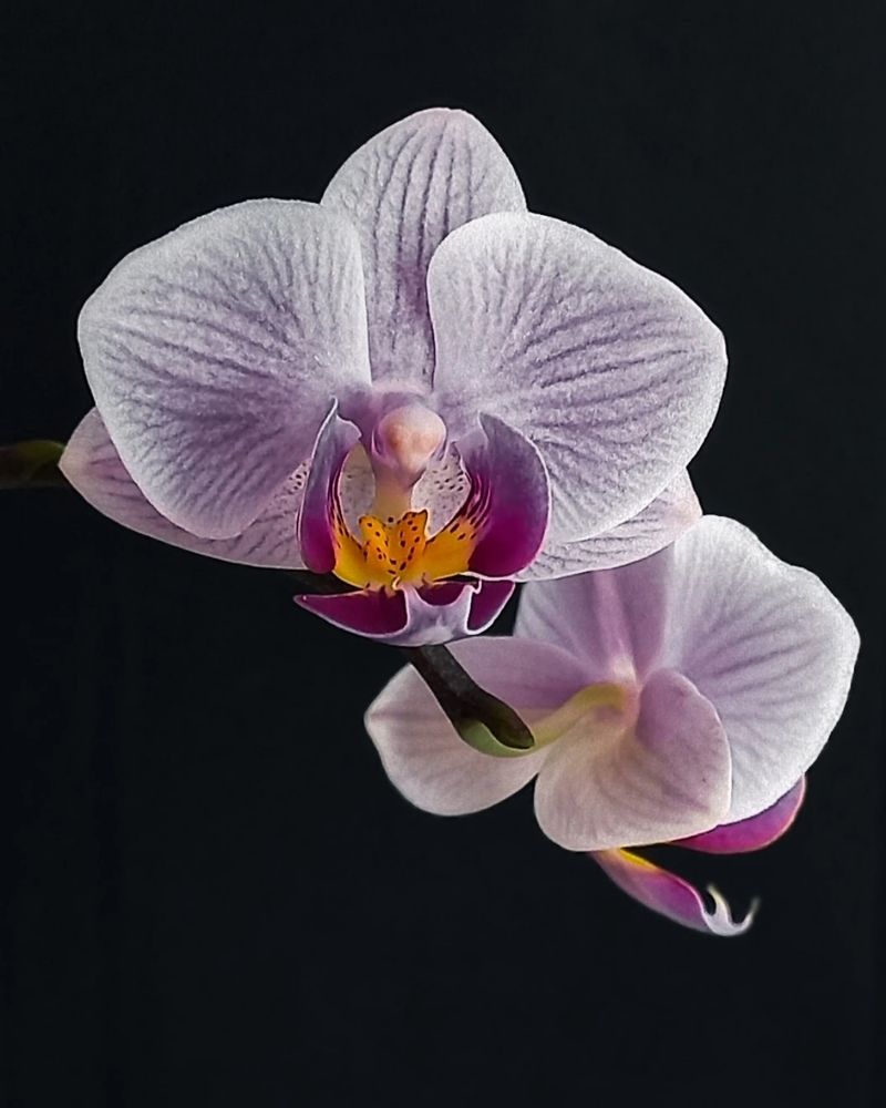 Photograph by Люда Яковлева