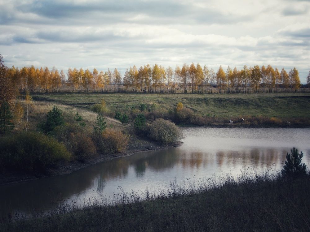 Photograph by Светлана Гаранина