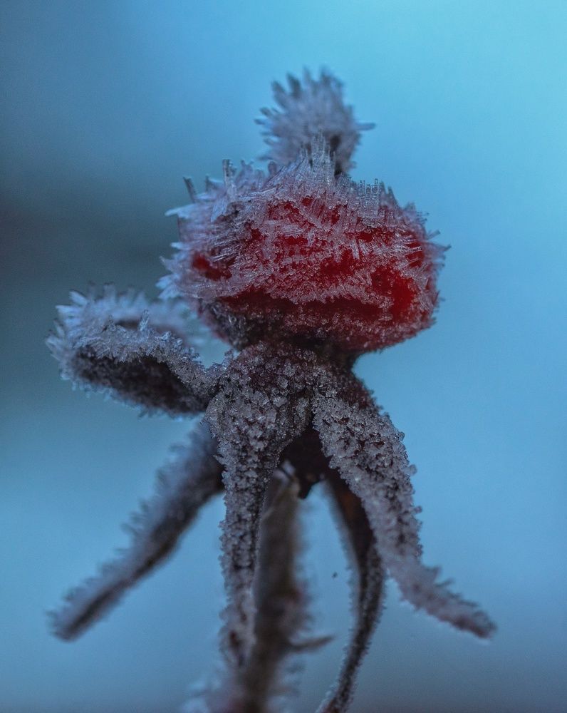 Photograph by Ольга Попова