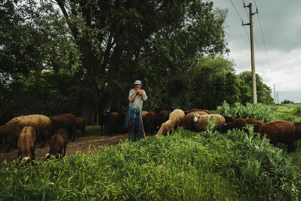 Photograph by Mariq Georgieva