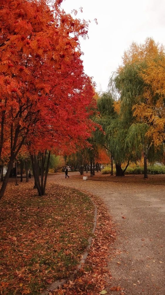 Photograph by Елена Силантьева