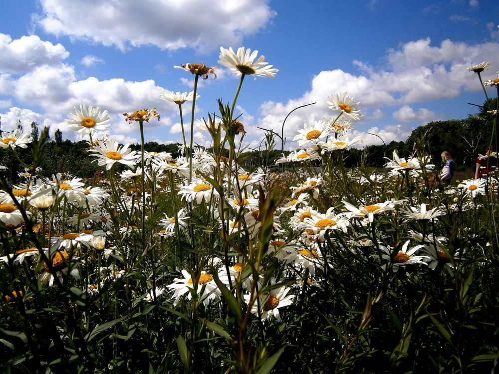 Photograph by Наталья Алексеева