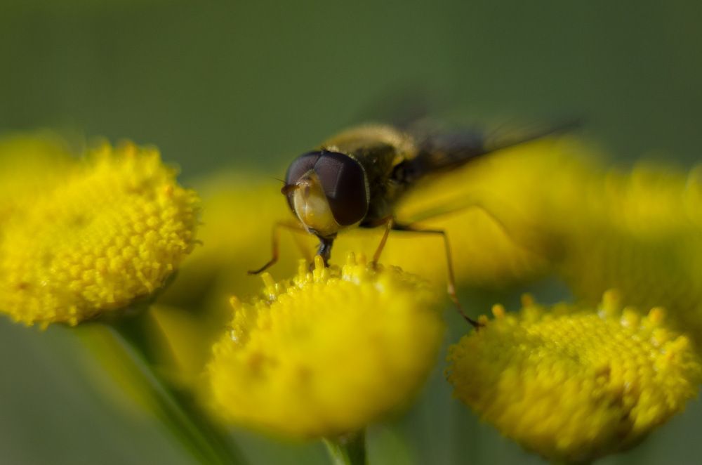 Photograph by Ekaterina Yushkova