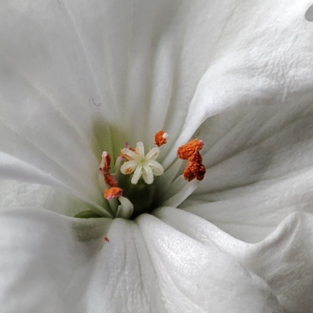 Photograph by Луиза Баширова