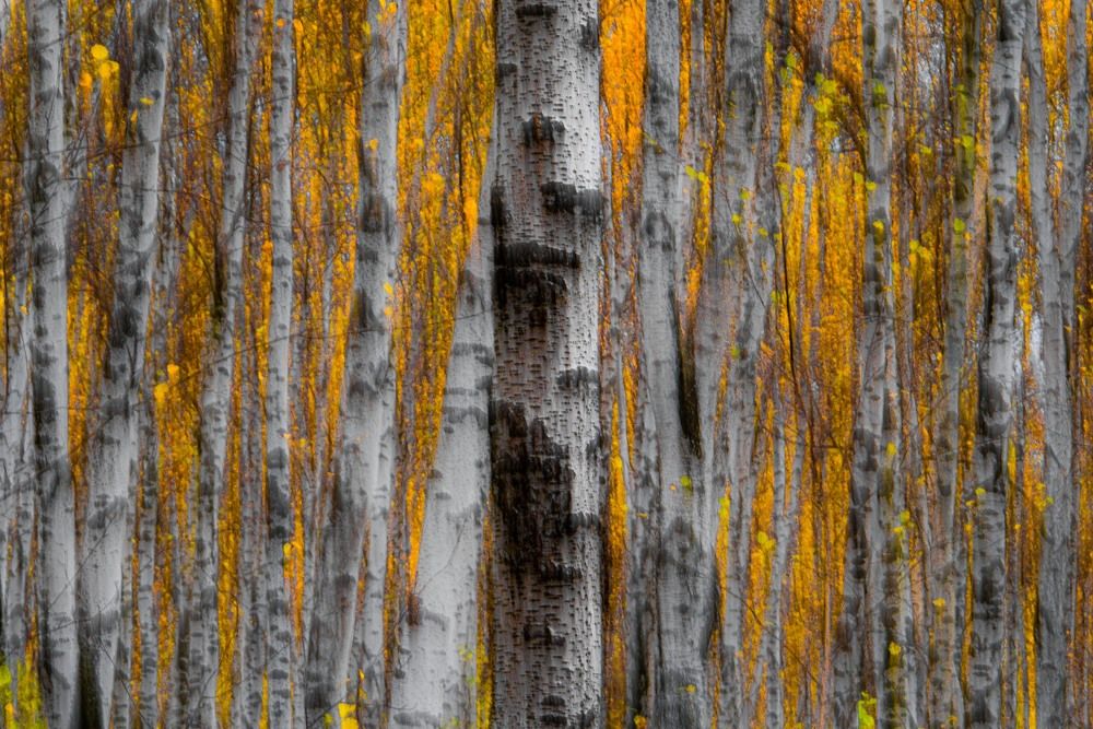 Фотография автора Evgeny Shlomov