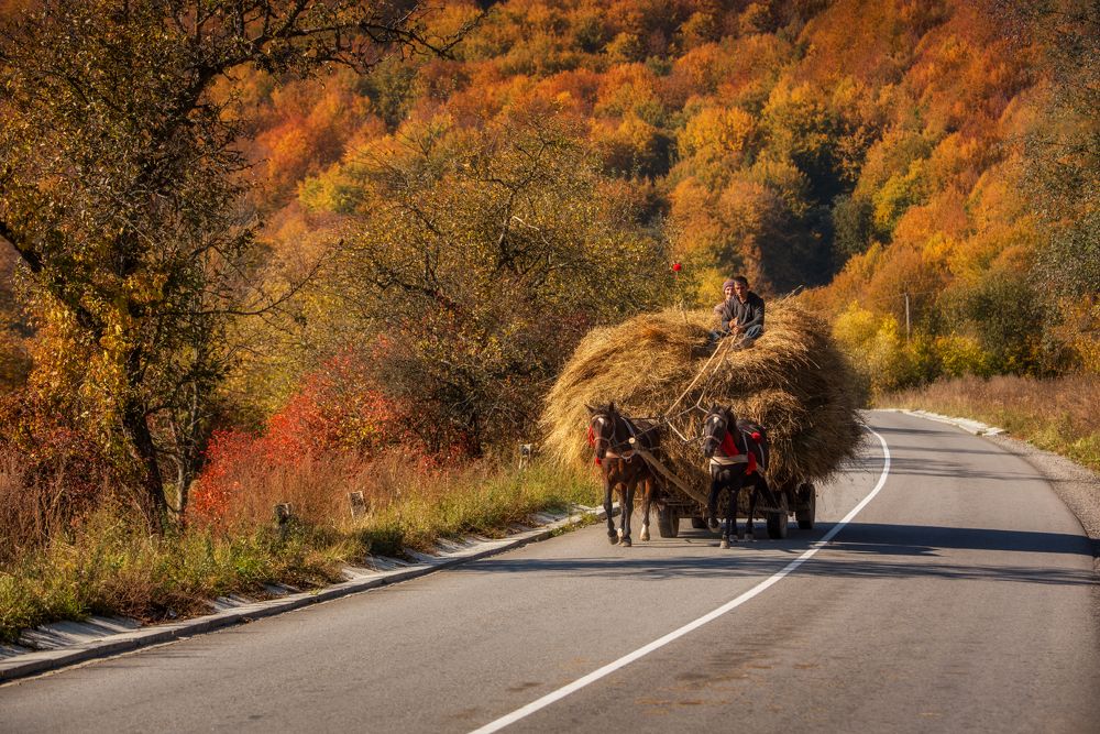 Photograph by Рудченко Ольга