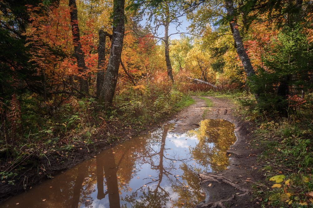 Осени шальное дефиле...