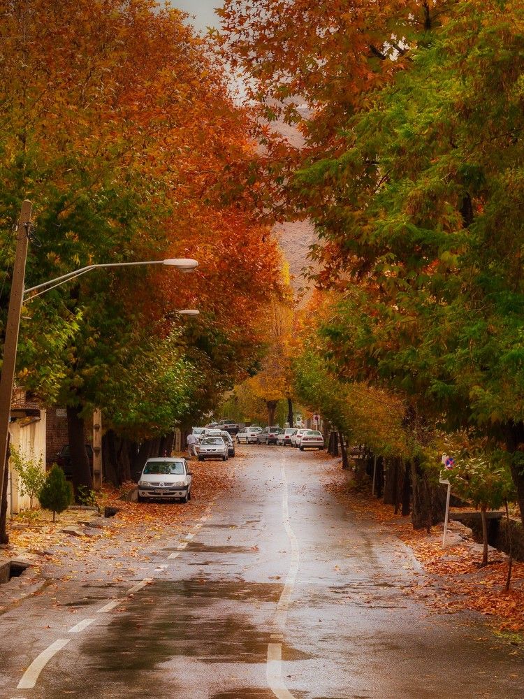 Photograph by Hamid Espanani