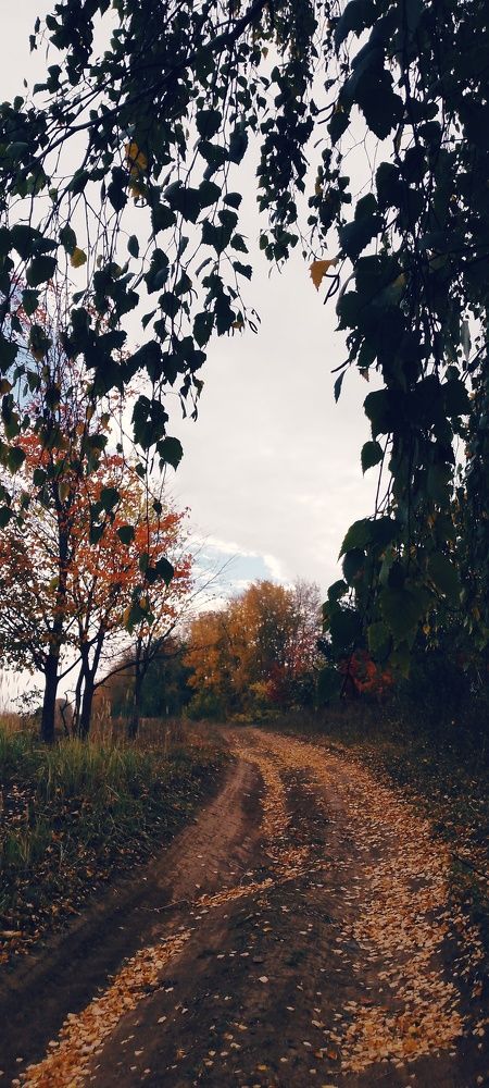 Photo #9587947