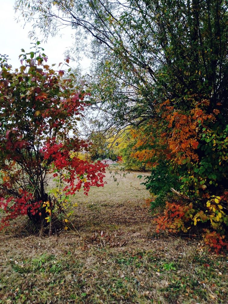 Photo #9587949