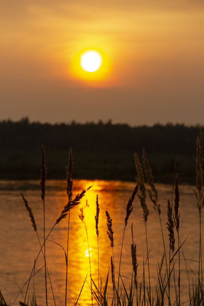 Photograph by Anna Gapanovich