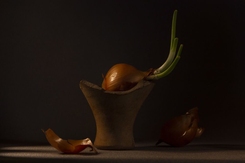 Photograph by Anna Gapanovich