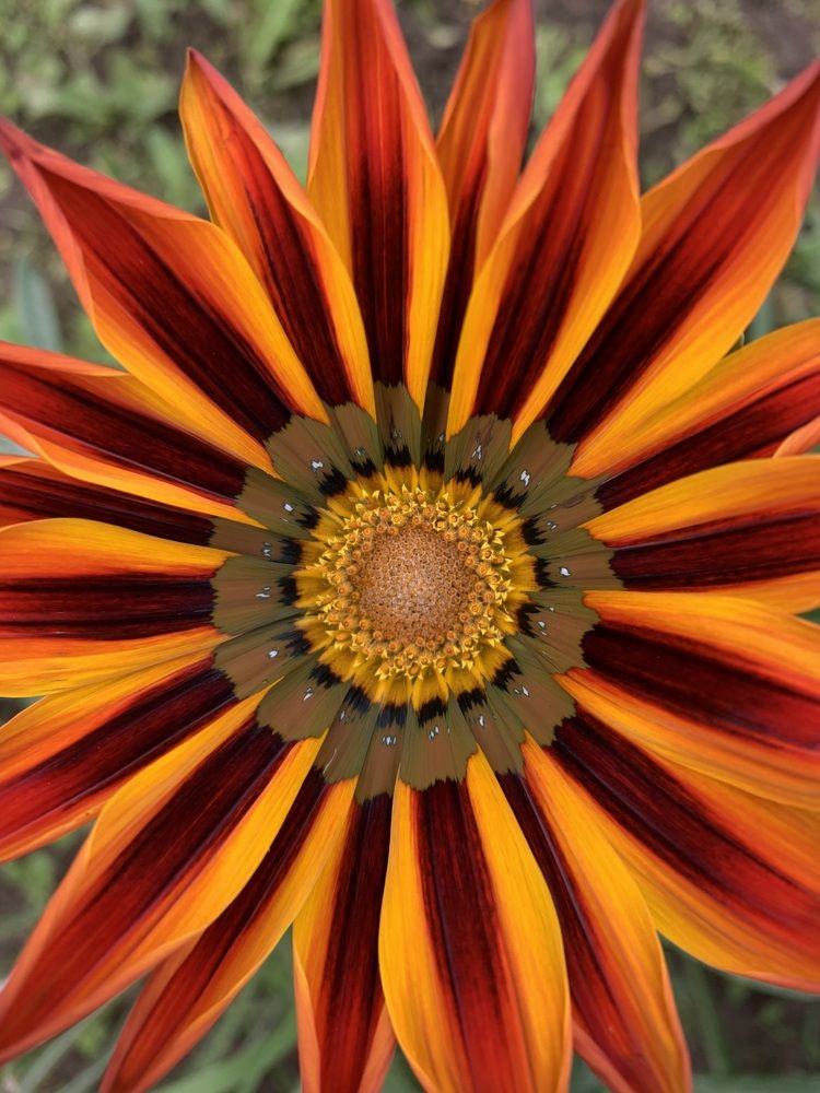 Photograph by Елена Смирнова