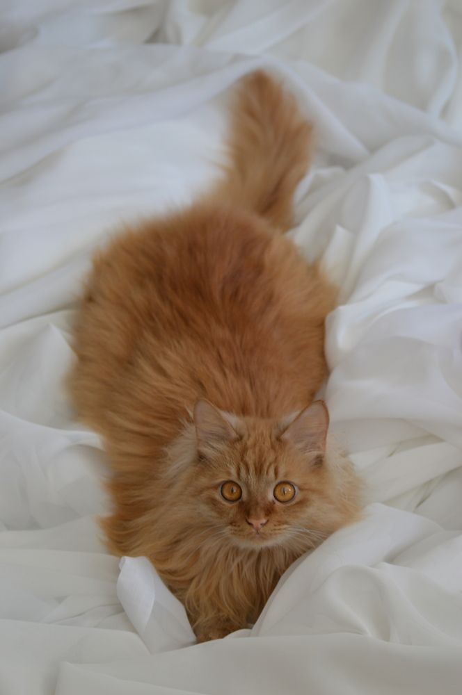 Photograph by Наталья Маслова