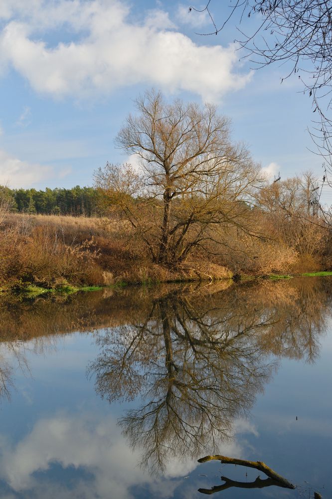 Photograph by Aleksander Perevolotsky