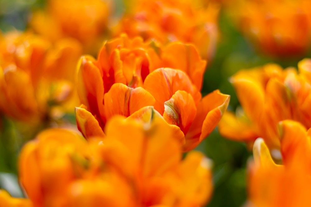 Photograph by Evgeniia Iakimenko