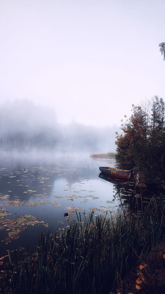 Photograph by Евгений Белов