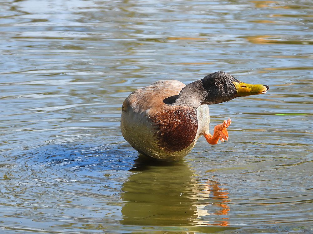 Photograph by  mohsenzadeh