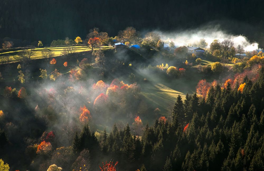 Photograph by Reis Turan