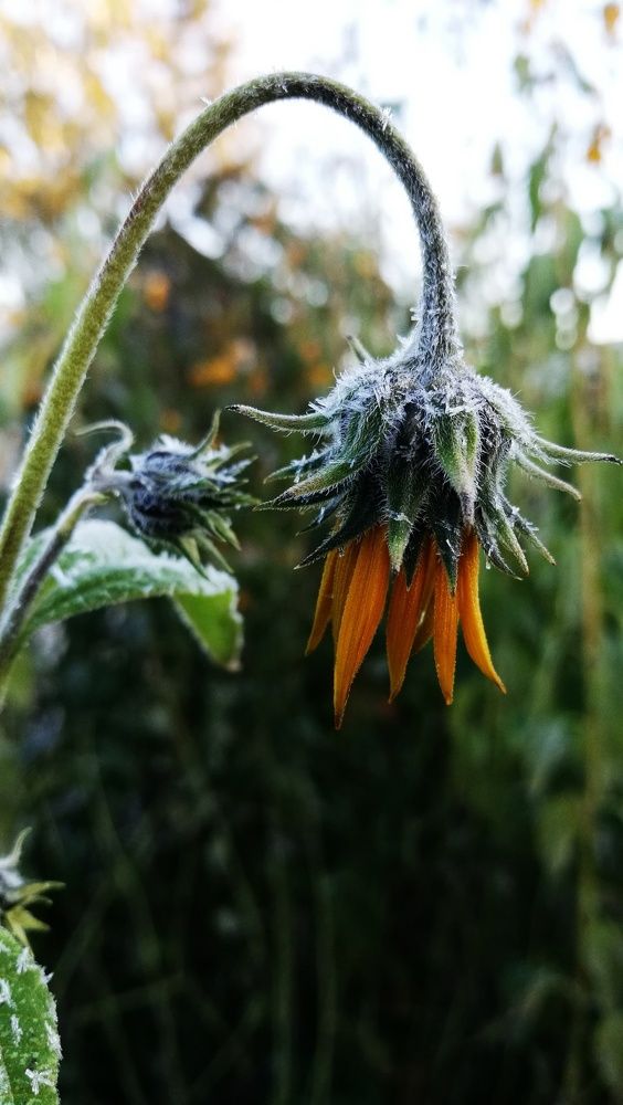 Photograph by Ирина Алпацкая