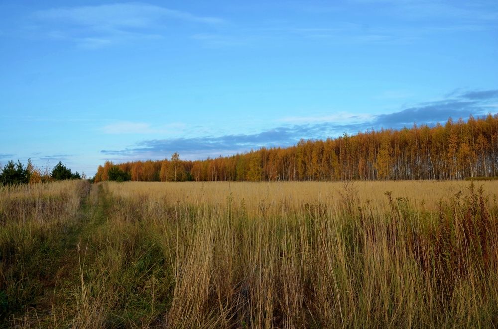 Photograph by Мария Зыкова