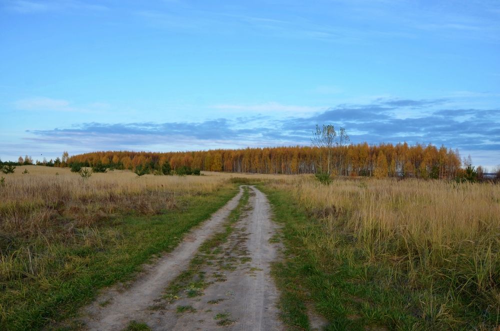 Photograph by Мария Зыкова