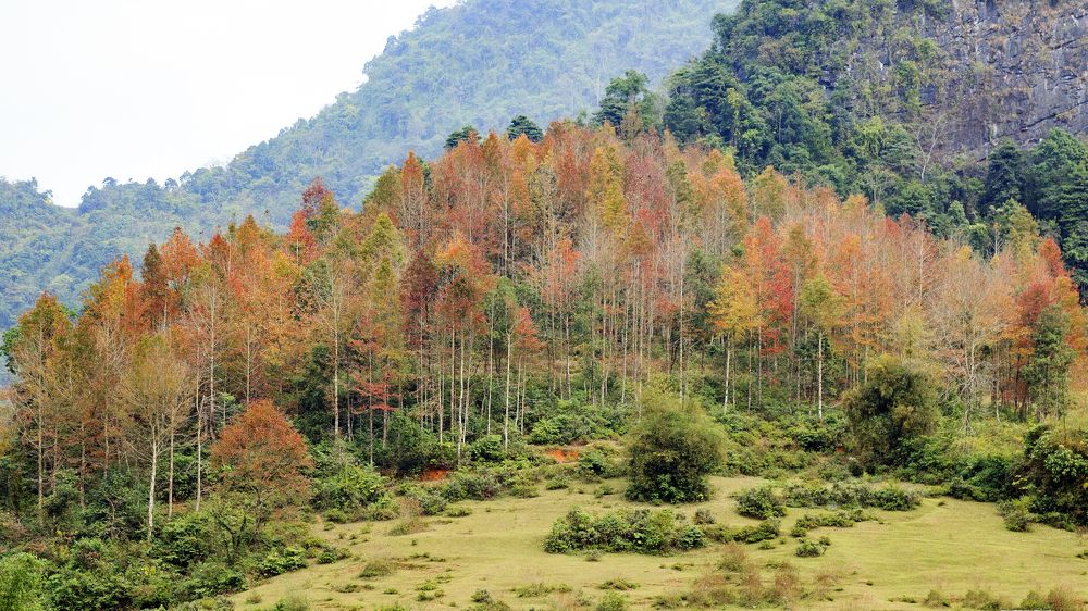 Photograph by Trung Nguyen