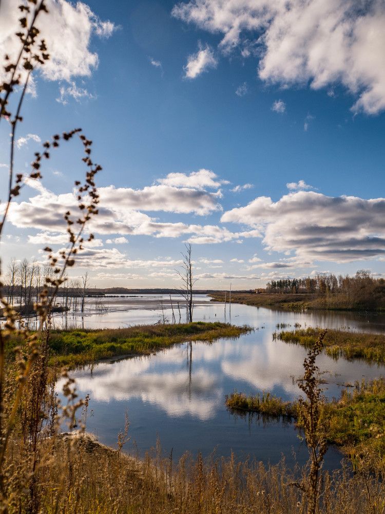 Фотография автора Evgeny Shlomov