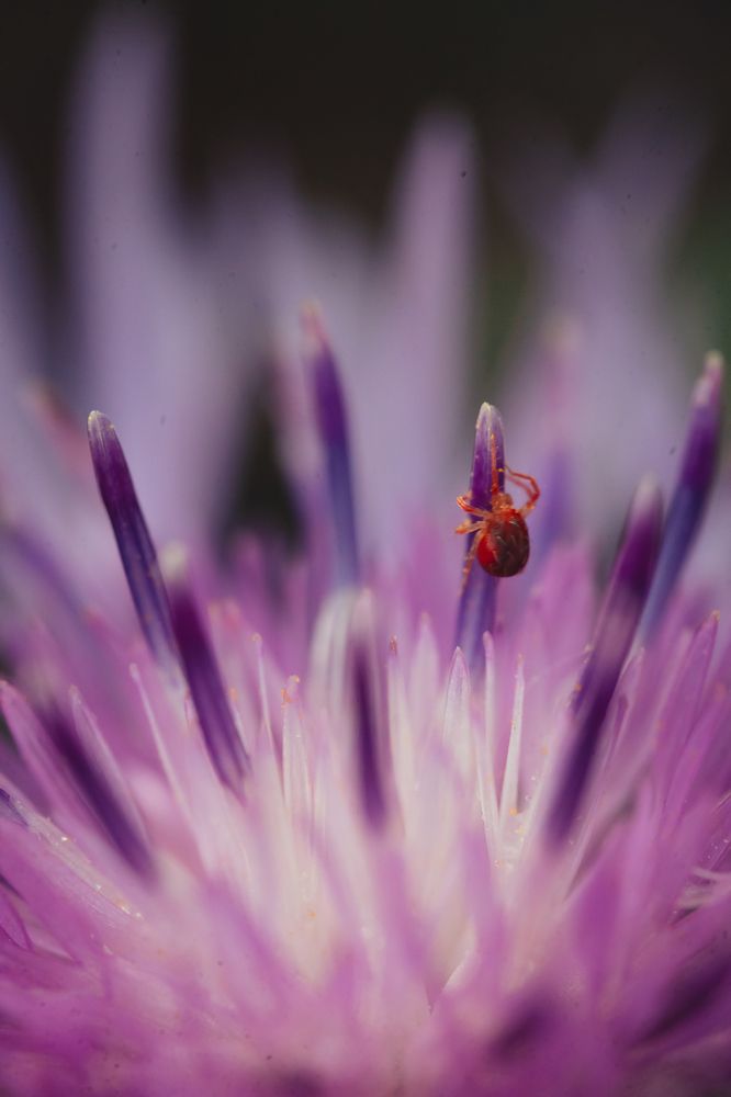 Photograph by Артём Малышев