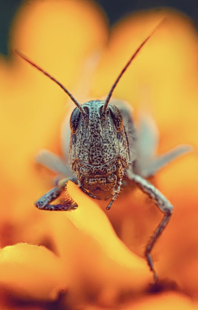 Photograph by Артём Малышев